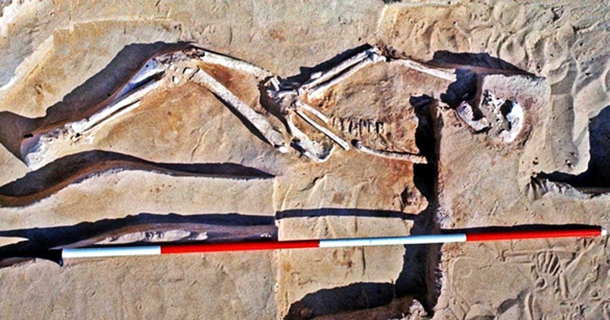 The 40,000-year-old remains of Mungo Man were discovered in 1974 on the southern sector of the eroding Lake Mungo shoreline.