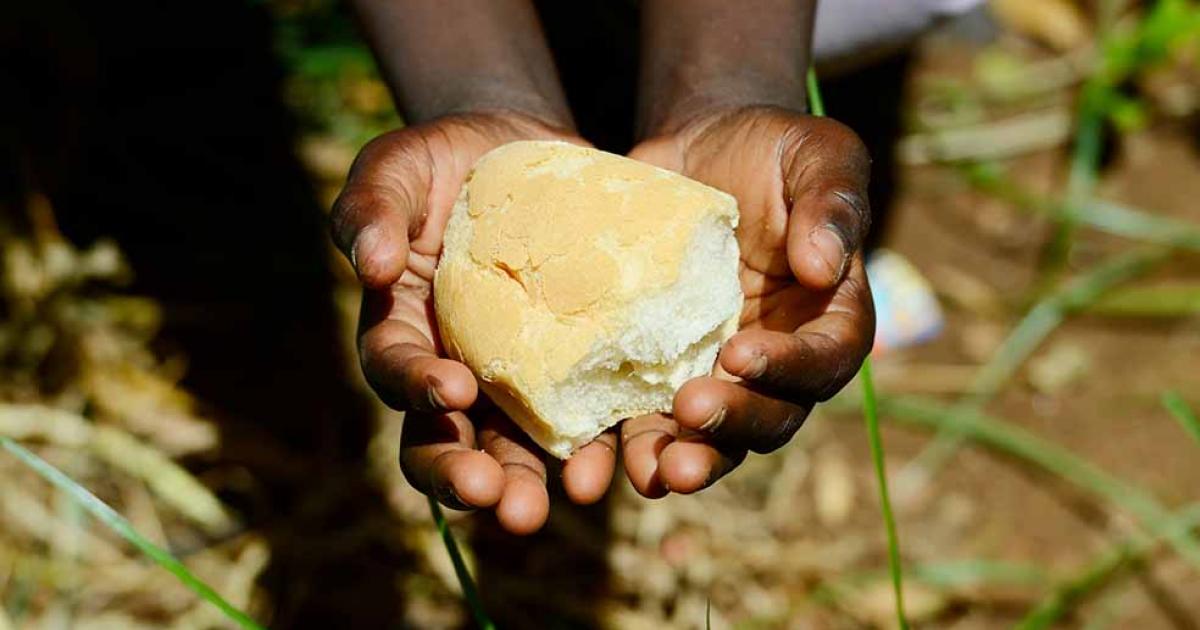 Australian Aboriginals are the first culture to make bread. Source:  Riccardo Niels Mayer / Adobe Stock.