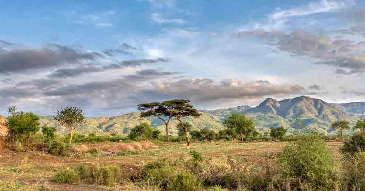 The landscape of Ethiopia today. During the first African migrations by Homo sapiens heading north to Europe or west to the Middle East, Ethiopia and East Africa in general were areas where the climate fluctuated frequently.