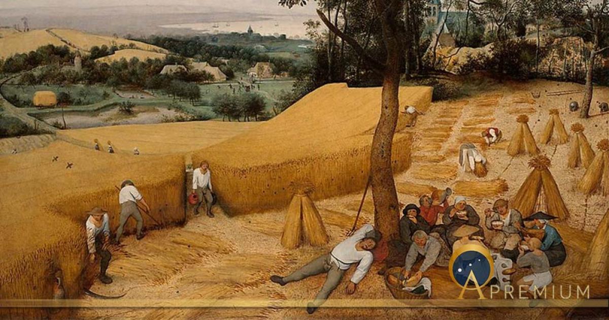 Food Security: Rethinking The Agricultural Revolution 