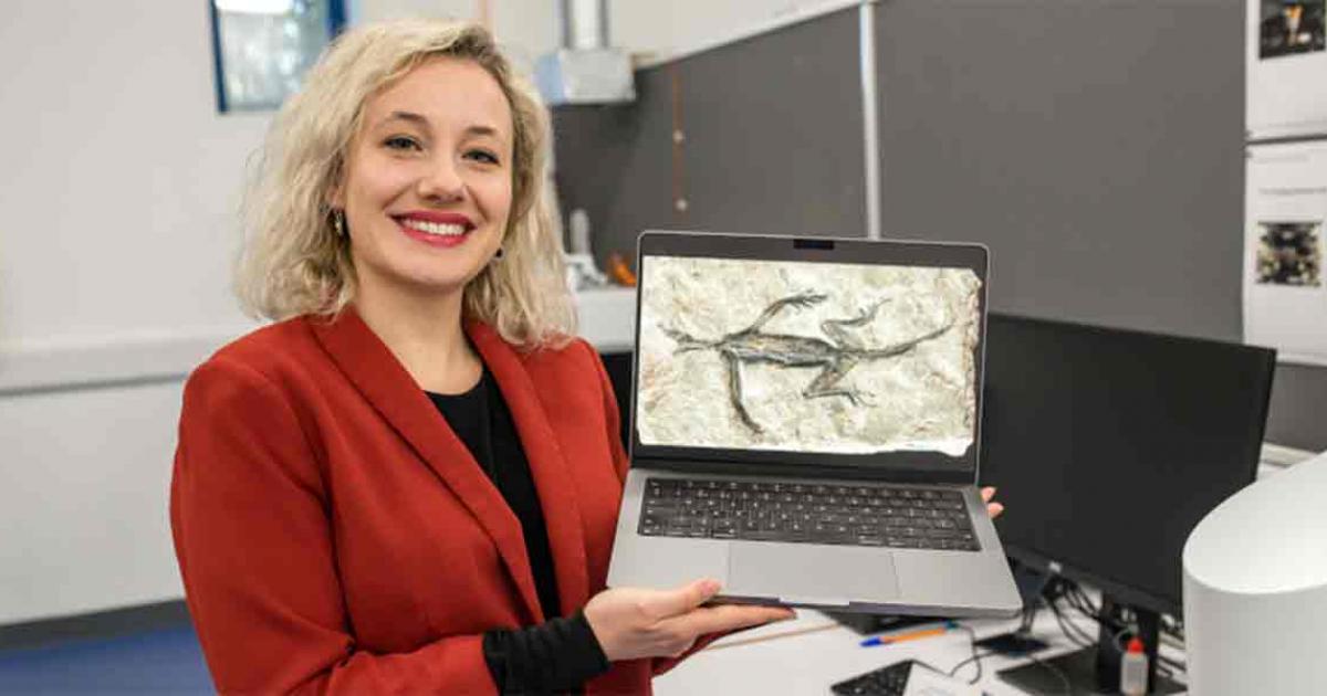 Dr Valentina Rossi of University College Cork, Ireland, who led the research team which discovered that a 280-million-year-old lizard fossil is, in part, a forgery. Source: Zixiao Yang/University College Cork