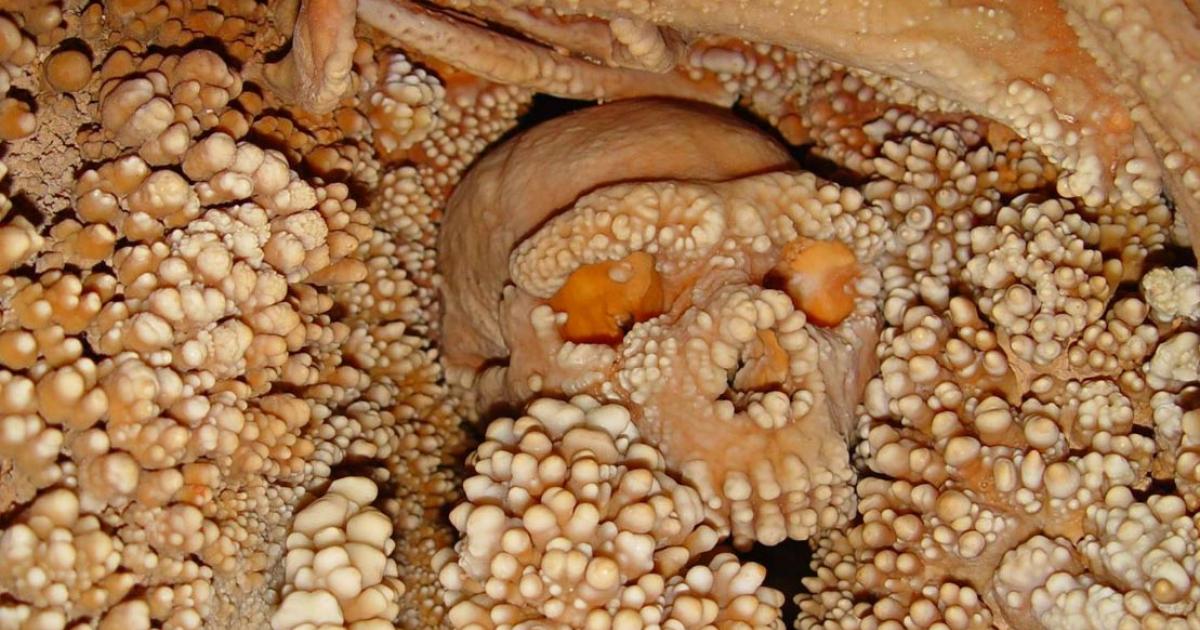 Altamura Man, surrounded by limestone deposits in the Grotta di Lamalunga