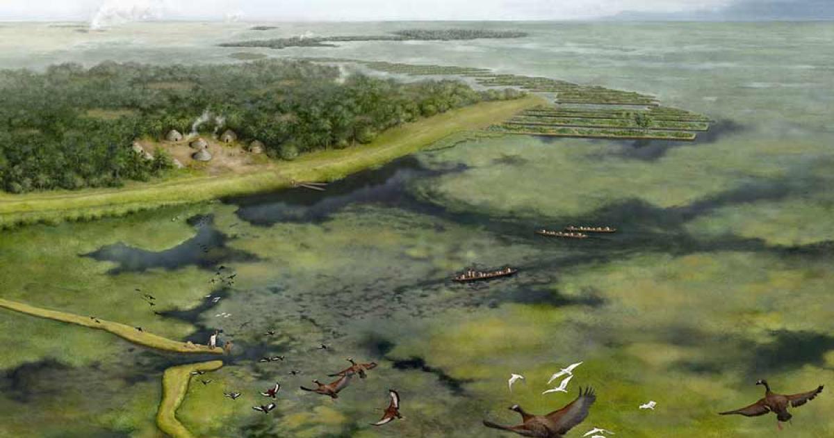 Illustration representing the way the rainforest landscape was shaped by ancient Amazonians around 3,500 years ago. Source: Kathryn Killackey / UCF