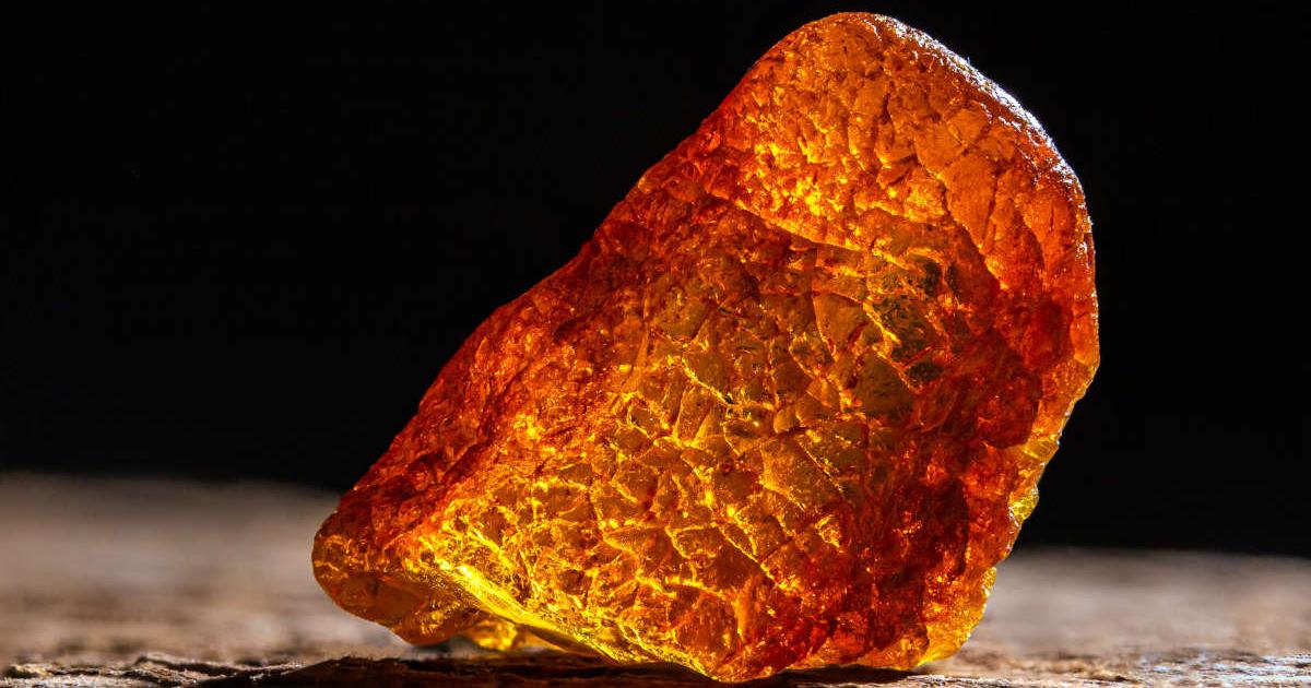 Natural amber. A piece of yellow transparent natural amber on large piece of dark stoned wood.