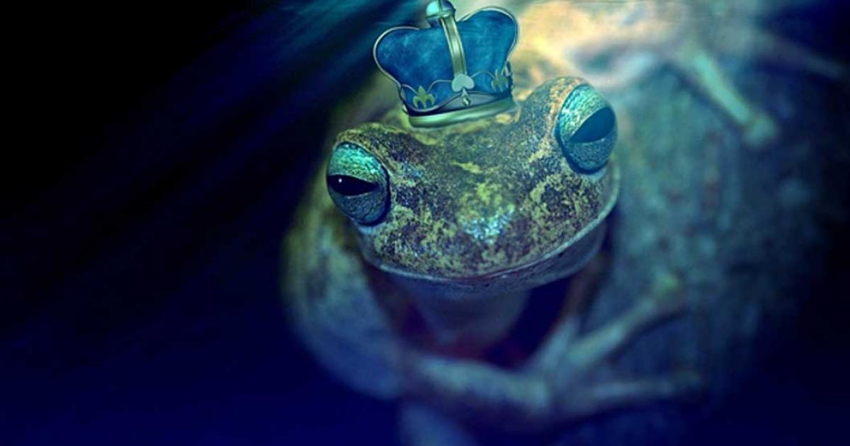 A Frog underwater with a crown.