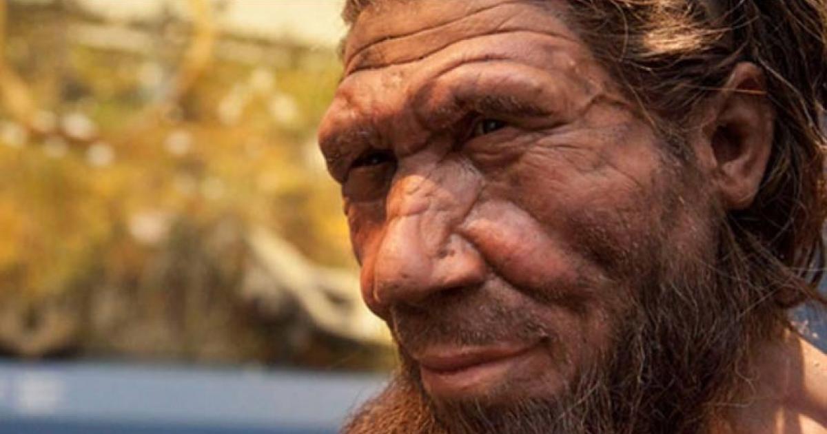 : An artist’s reconstruction of a Neanderthal, displayed in the exhibition ‘Britain: One Million Years of the Human Story’. Source: The Trustees of the Natural History Museum, London 