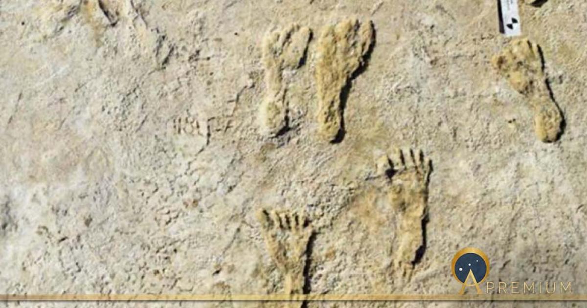 This undated photo made available by the National Park Service in September 2021 shows fossilized human footprints at the White Sands National Park in New Mexico. ( National Parks Service )