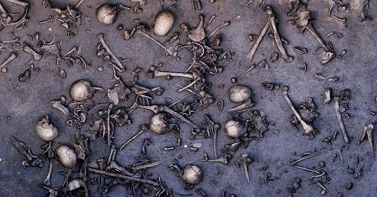 The remains of warriors lie scattered on the battlefield of Tollense.