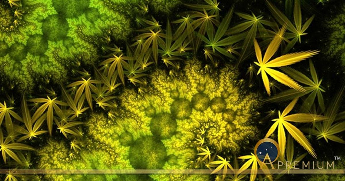 Fractal Cannabis Marijuana Mobius Dragon