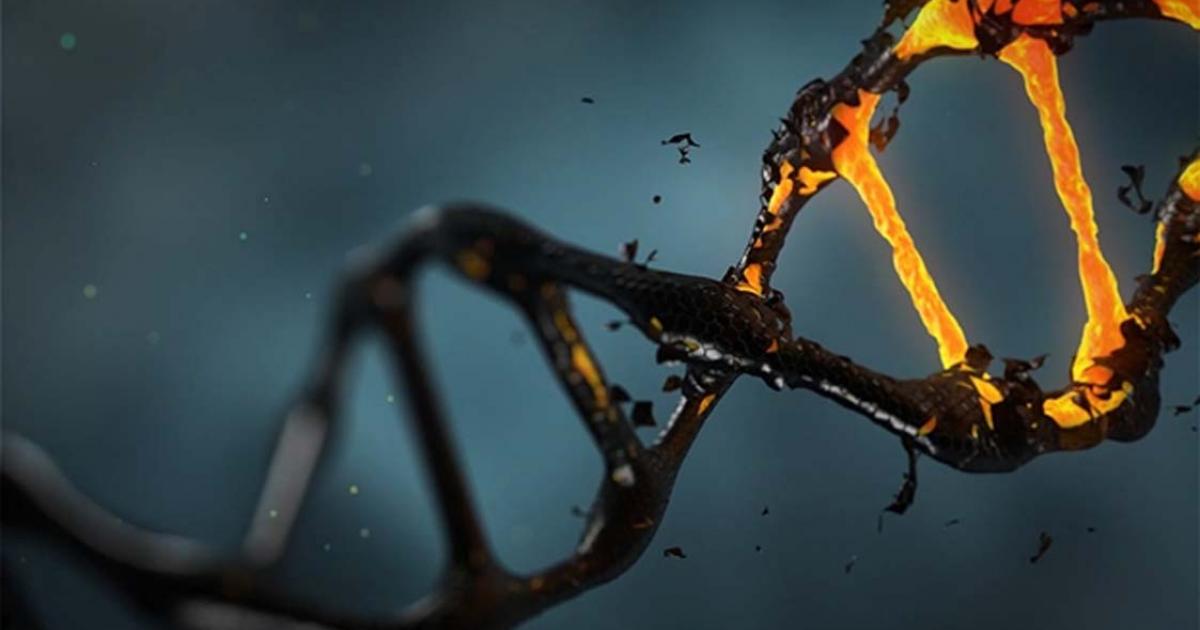 DNA molecule representation 