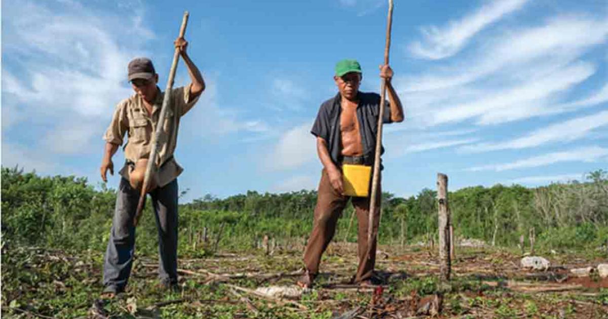 Traditional farmers Ramón Nonato Tec Poot, Xuxcab, Yucatán.	Source: International Maize and Wheat Improvement Center/CC BY-NC 2.0 Deed)
