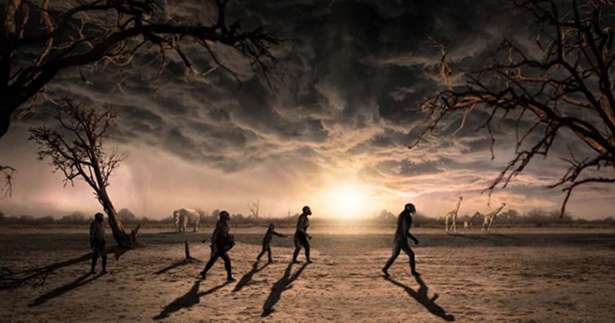 3.6-Million-Year-Old Footprints Imply That an Ancient Hominin Was a Tall, Dominant, and Polygamous Male