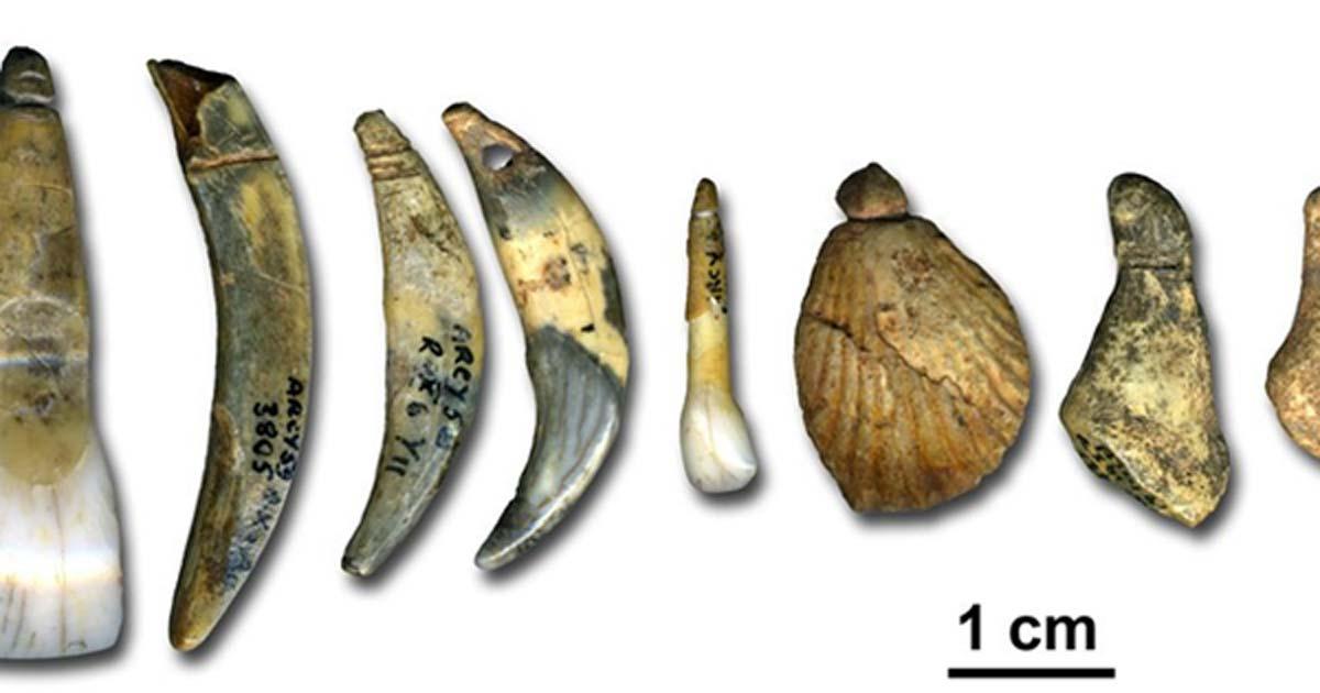 Ancient Jewelers: Scientists Confirm Body Ornamentation Belonged to Neanderthals
