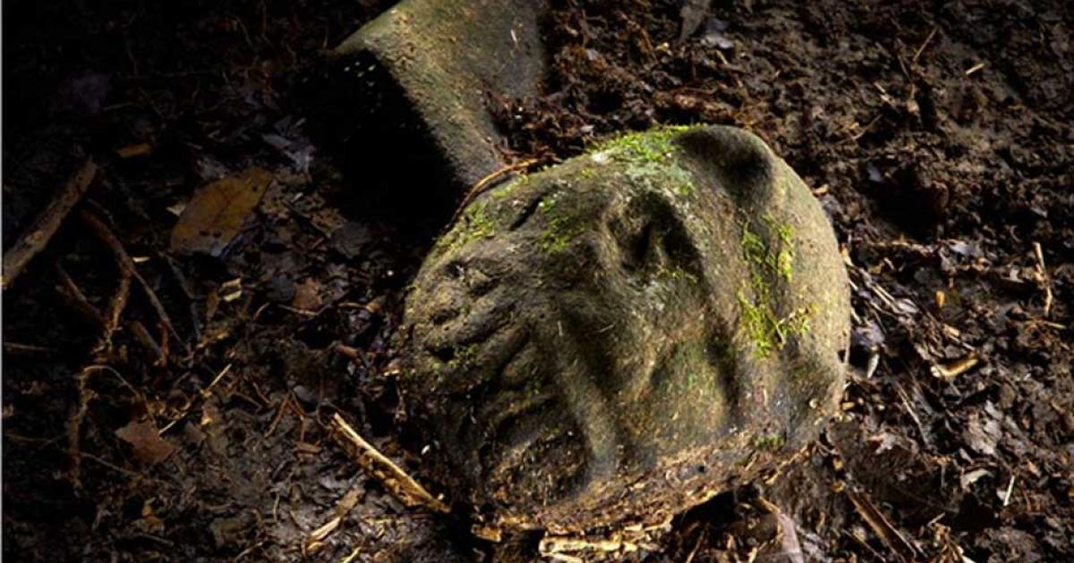 Explorers That Found Ancient Lost City of the Monkey God Almost Lose Their Faces to Flesh-Eating Parasite