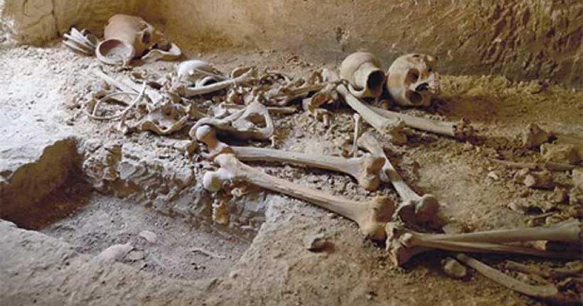 Remains of Ancient Maltese Islanders Discovered in Catacombs Beneath a School