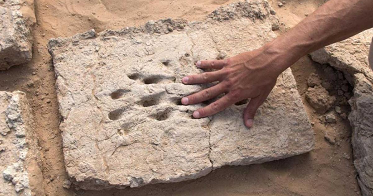The ancient fingerprints of a worker who helped build a wall in ancient Al Ain. Source: Department of Culture and Tourism - Abu Dhabi / Fair Use.