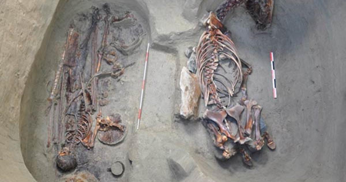Ancient instrument Turkic warrior burial in Kazakhstan