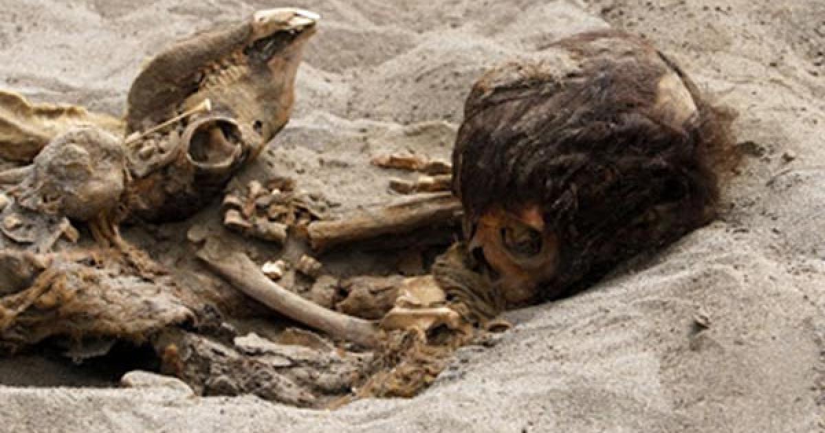 Ancient ritual sacrifice of children and llamas unearthed in PeruAncient ritual sacrifice of children and llamas unearthed in Peru