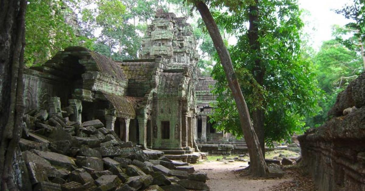 Ancient ruins in the rainforest