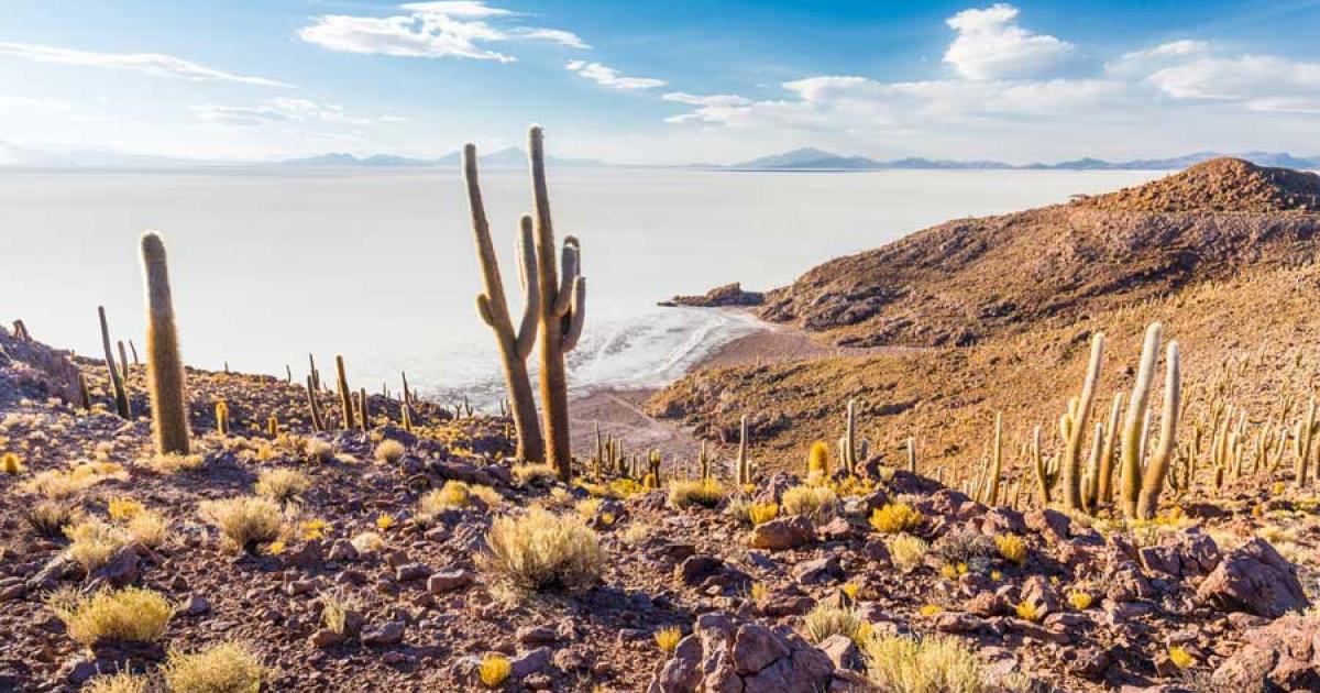 The Salar de Uyuni landscape in Bolivia. Source: subbotsky / Adobe Stock 