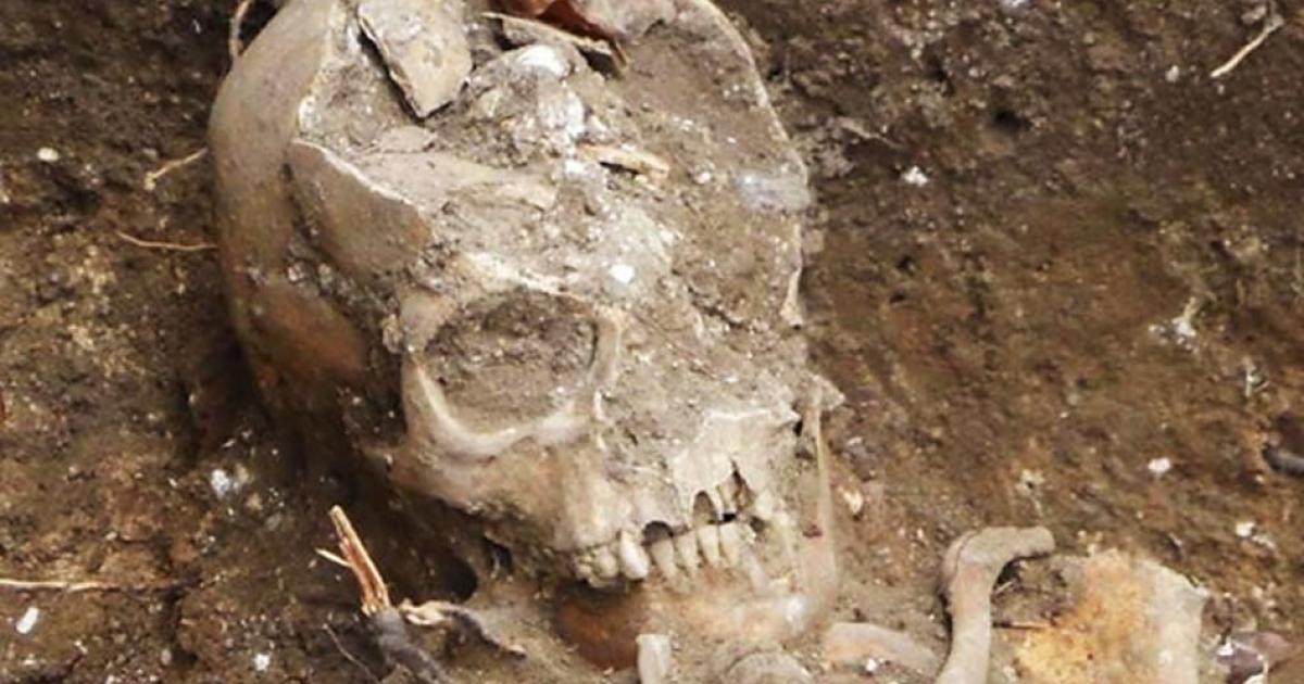 Skeleton of one of the individuals unearthed in Hildersham. 