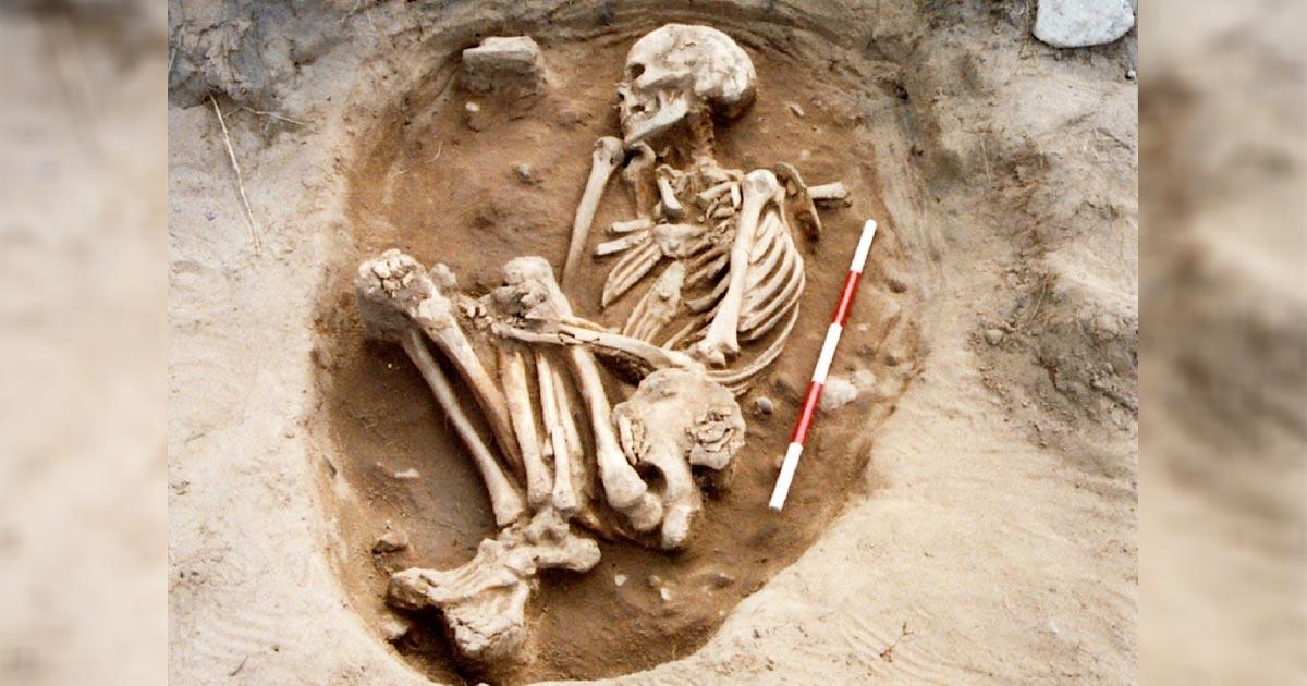 Study of 110 Bamburgh skeletons indicates Anglo-Saxon enlightenment. Source: Bamburgh Bones