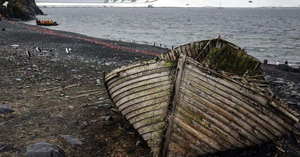 Journey to remote Antarctica aboard the Sea Adventurer.