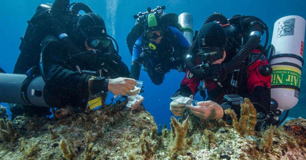 Antikythera team members Nikolas Giannoulakis, Theotokis Theodoulou, and Brendan Foley inspect small finds from the Shipwreck while decompressing after a dive to 50 m (165 feet). 