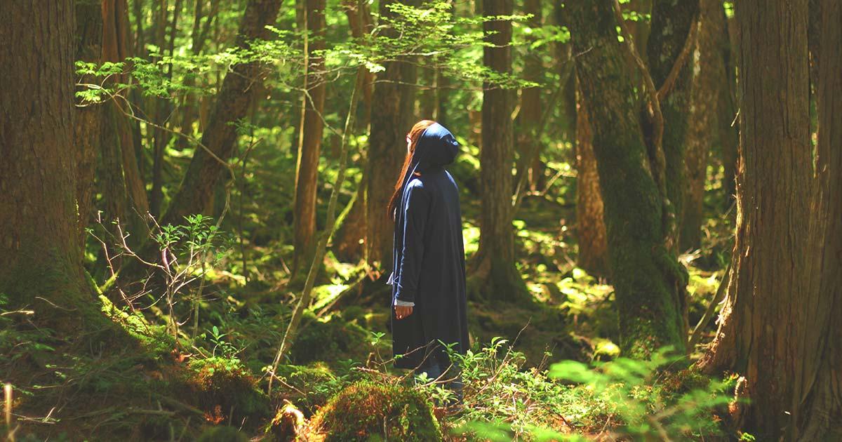 Aokigahara Forest, a.k.a. Suicide Forest, in Japan. Source: Satoshi881 / Adobe Stock