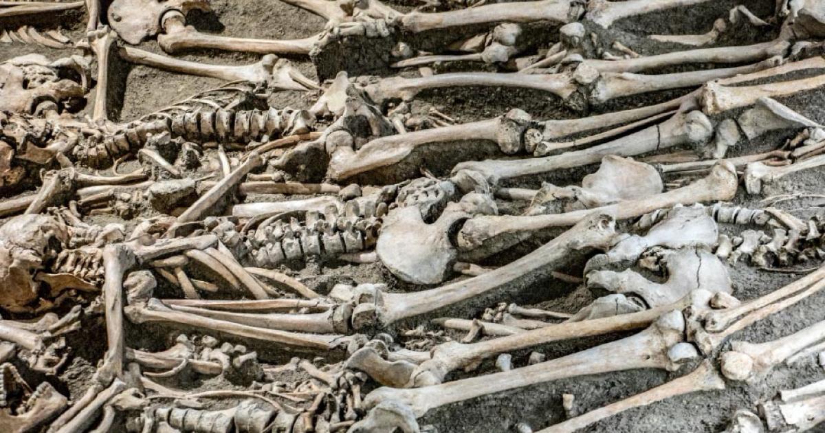 Future archaeologists will find mainly neatly arranged human remains, study says.    Source: milkovasa / Adobe Stock