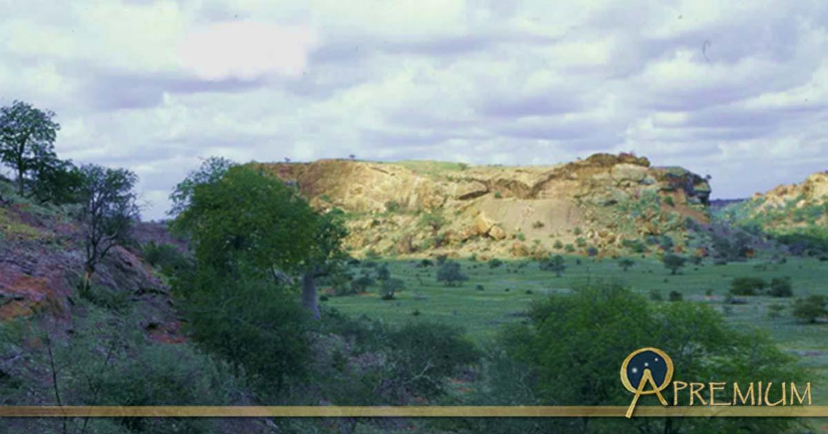 Golden Hill of Mapungubwe (Copyright University of Pretoria)