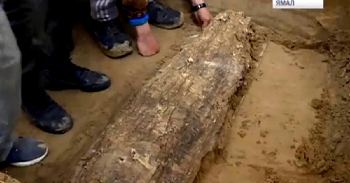 Ancient mummy unearthed from lost medieval civilization near Arctic