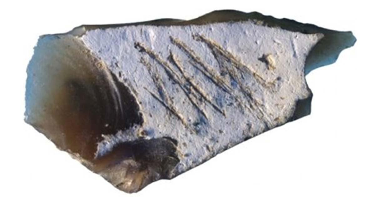 Engraving found in Crimean cave on flint flake from Kiik-Koba layer IV. 