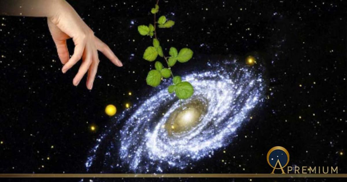 Panspermia theory argues that life came to Earth from elsewhere in our galaxy or even further away.(Dmitry / Adobe Stock)