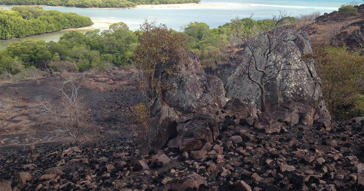 Ancient banana cultivation site at Wagadagam, Mabuyag.   Source: Australian National University