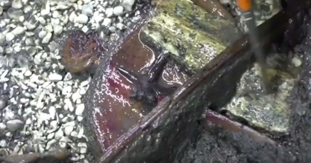 Experts May Have Found an Aztec Royal Burial.