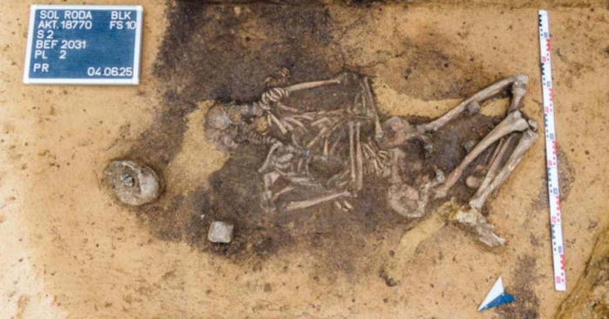 Archaeological excavation revealing 4,500-year-old dog teeth-decorated bags buried with elite women and infants at Krauschwitz