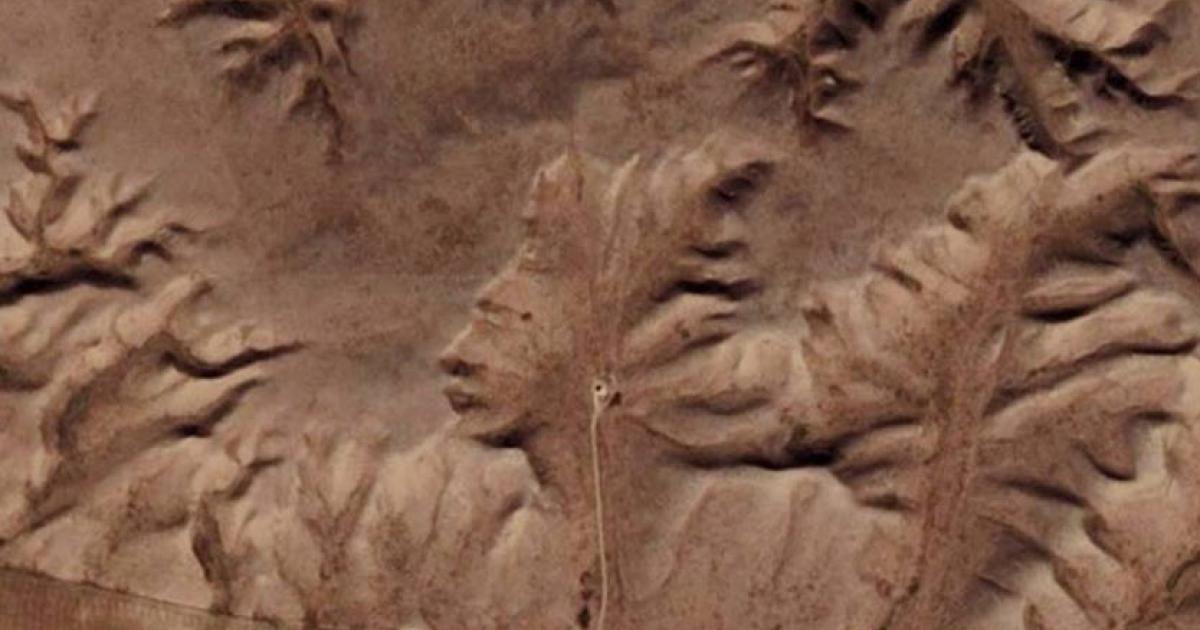 The Badlands Guardian