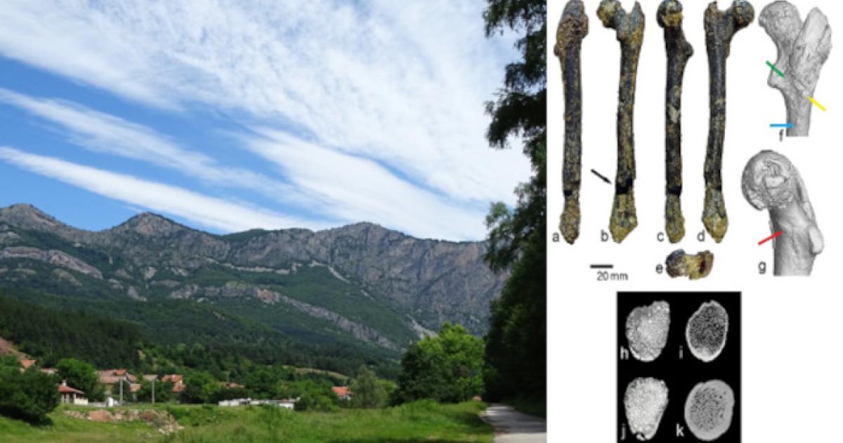 Scenery at Zgorigrad Village, Vrachanski Balkan National Park, Bulgaria. Right; images of the femur.
