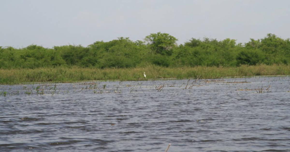 Crooked Tree Wildlife Sanctuary in Belize. 