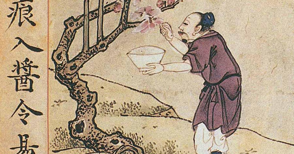 The Ben Cao Gang Mu (Compendium of Material Medica) is a 16th-century collection of medical knowledge. Source: Public domain