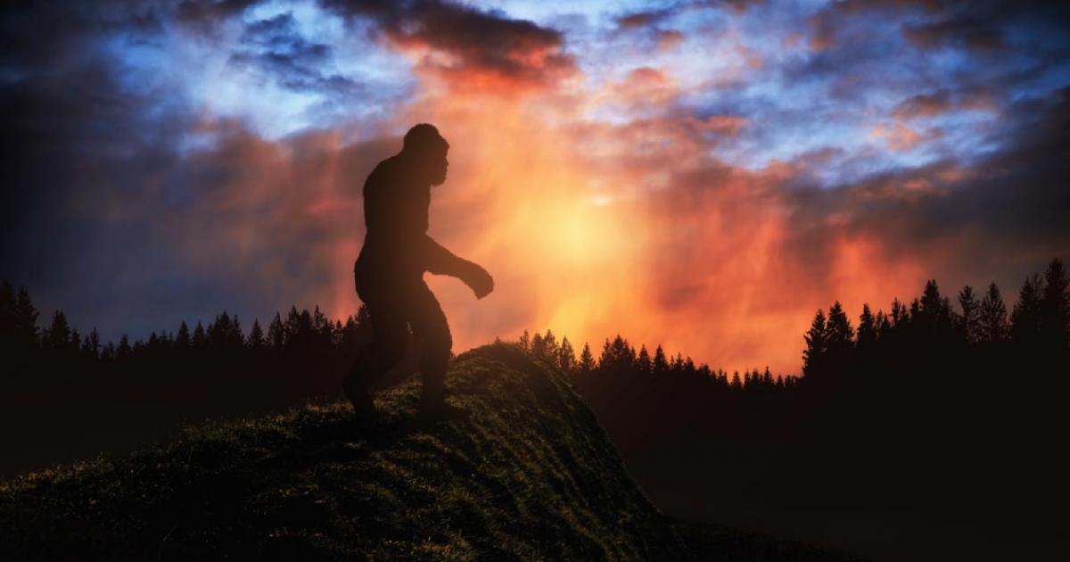 Does Bigfoot really exist?     Source: ginettigino / Adobe Stock.