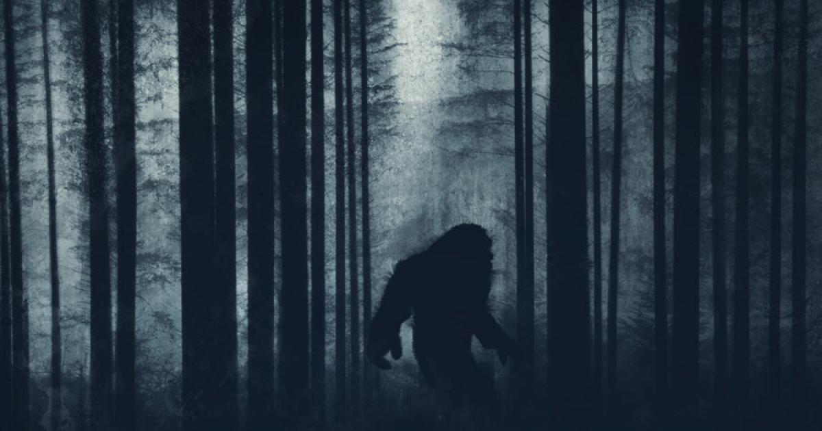 Mysterious Bigfoot figure in the forest. Source: Dave / Adobe Stock 