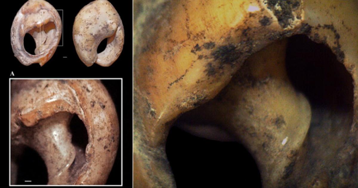 The Bizmoune Cave sea snail shell beads have been dated to at least 142,000 years ago, according to the latest research study, making them the oldest jewelry 