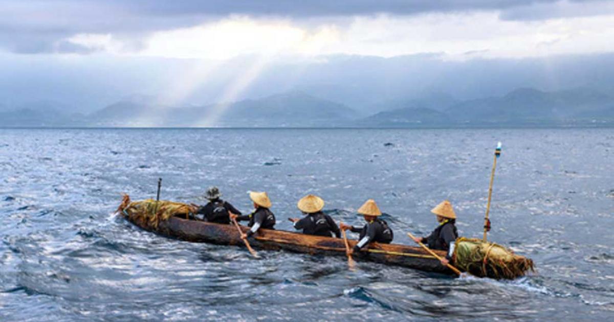 The team of five paddlers crossed 200 kilometers of open ocean and the Black Stream in a primitive log boat. Source: National Museum of Nature and Science/Tokyo