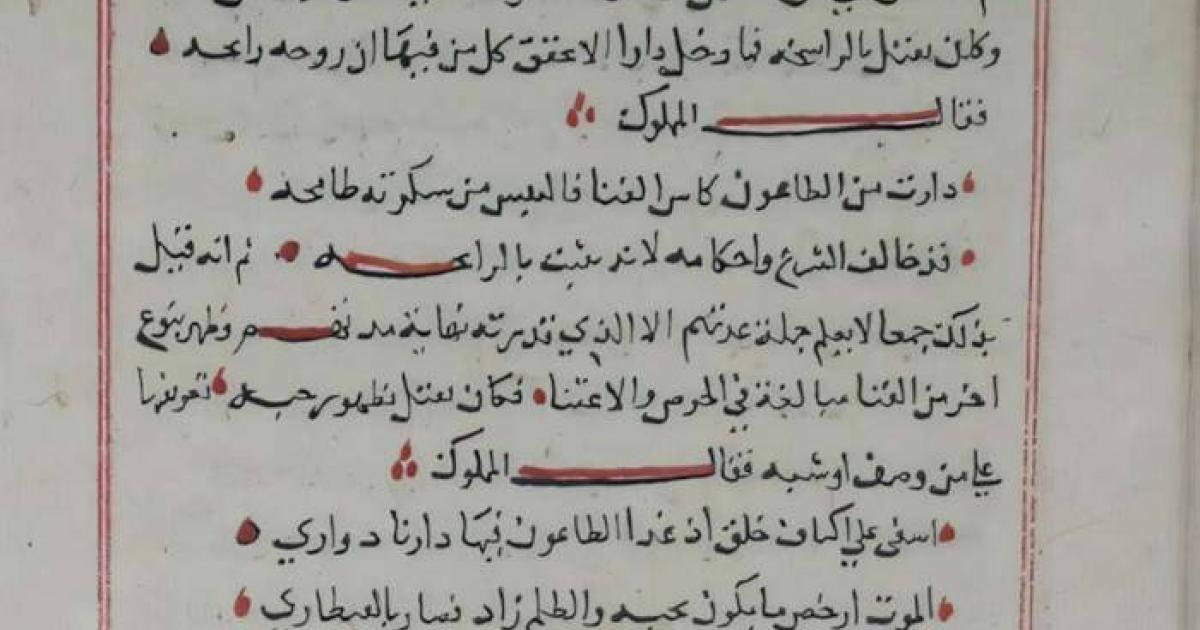 A page from Ibn Abi Hajala's (d. 1375) Dafʿ al-niqma bi-l-ṣalāh ʿalā nabī al-raḥma ("Repelling the Trial by Sending Blessings Upon the Prophet of Mercy").