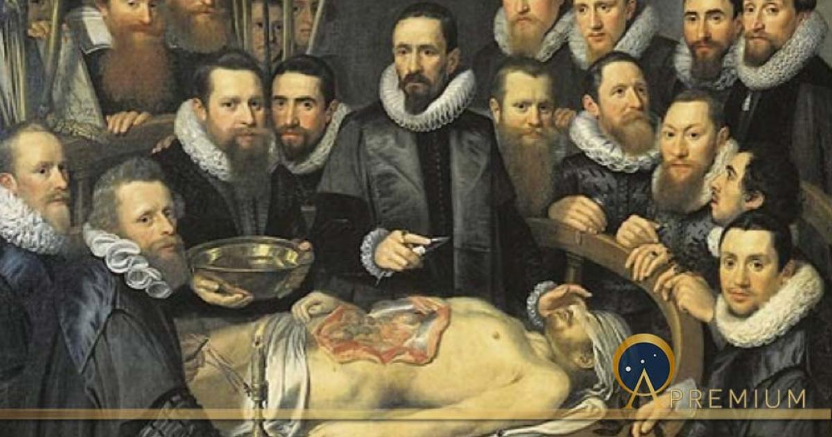 Anatomy lesson of Dr. Willem van der Meer by Michiel Jansz van Mierevelt (1617) (Public Domain)