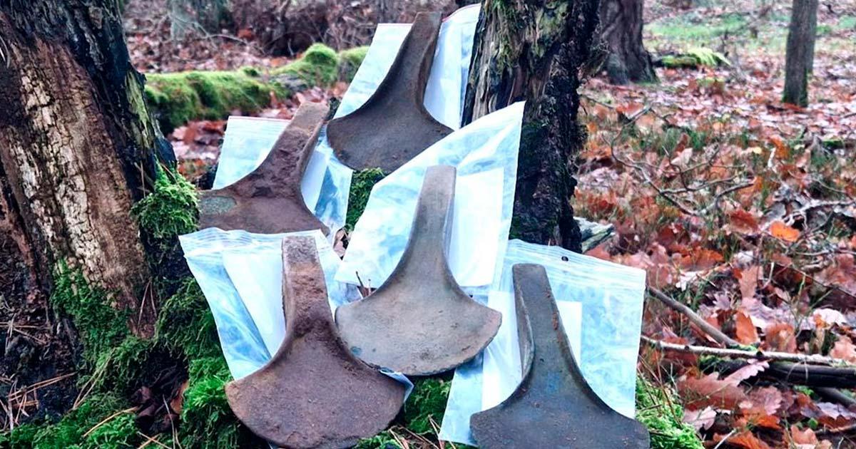 The collection of five Bronze Age axe blades leaning against a tree in the forest where they were found.	Source: Nadleśnictwo Stargard