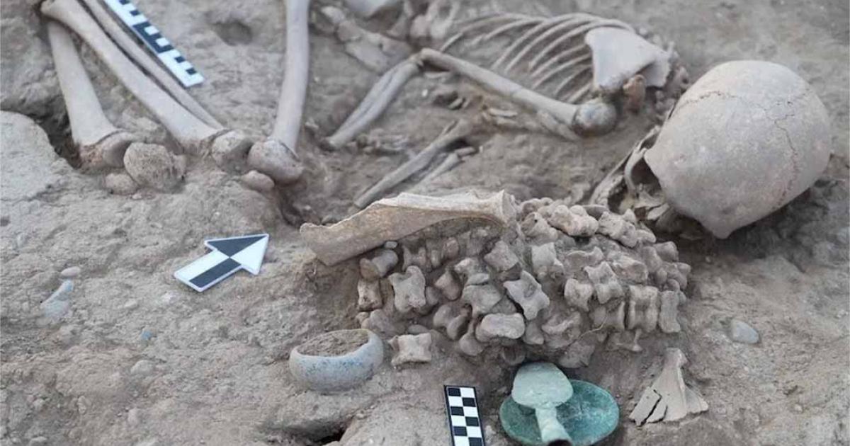 Burial of teenage girl found with 180 sheep ankle bones. Credit: Kazakh Ministry of Science and Higher Education.