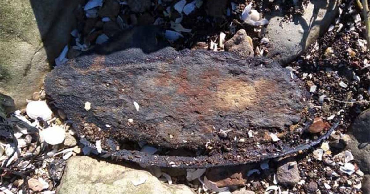 The Bronze Age shoe, in situ where it was found on the river edge in Kent, England.    Source: Steve Tomlinson